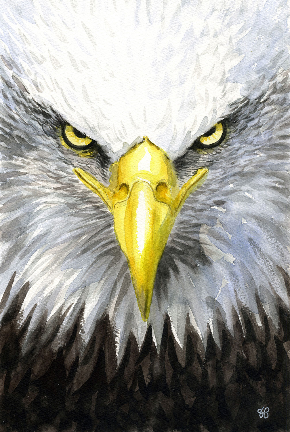 aigle aquarelle