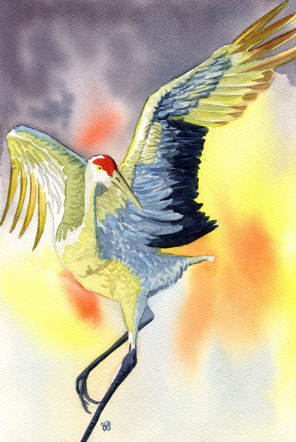 aquarelle grue cendree